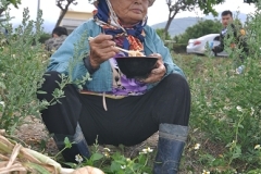 201104094773